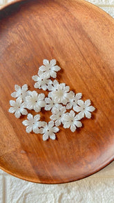 Pearl flower